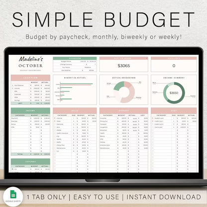Professional Budget Planner  Track Your Finances Easily