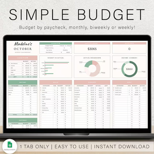 Professional Budget Planner  Track Your Finances Easily